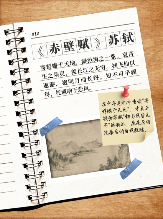 image.png?v=1757808780911