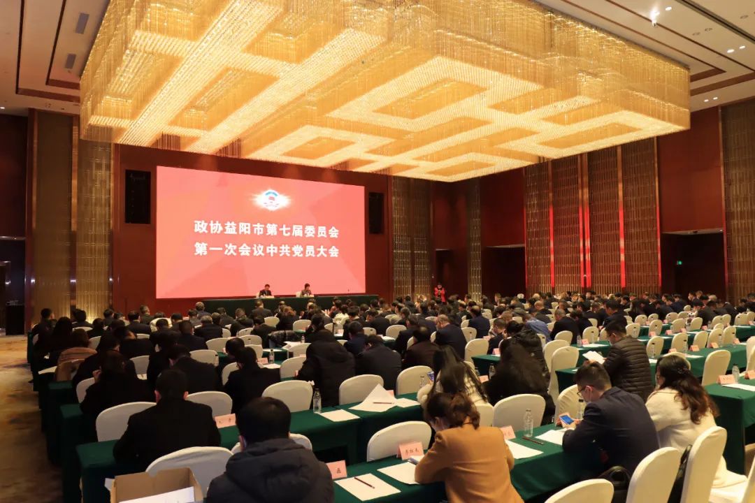 11 11.jpg?v=1765880288896