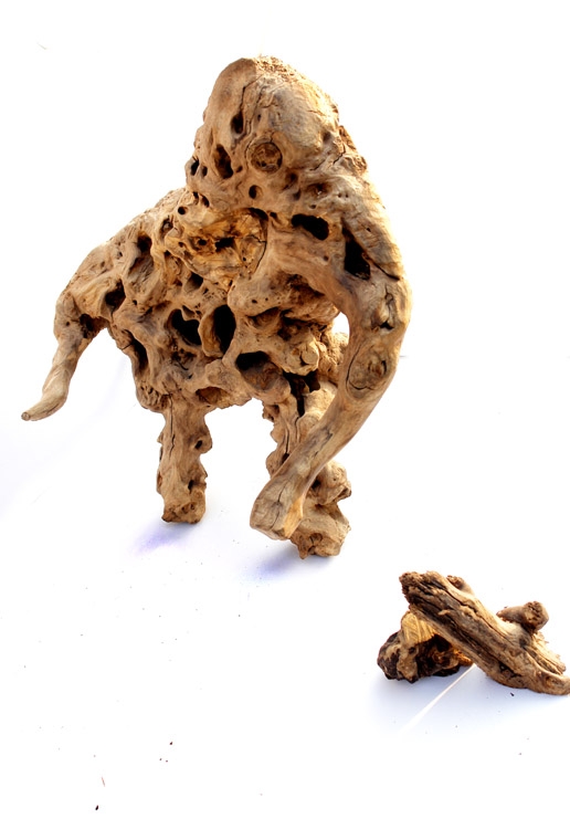 微信图片_202103151005283