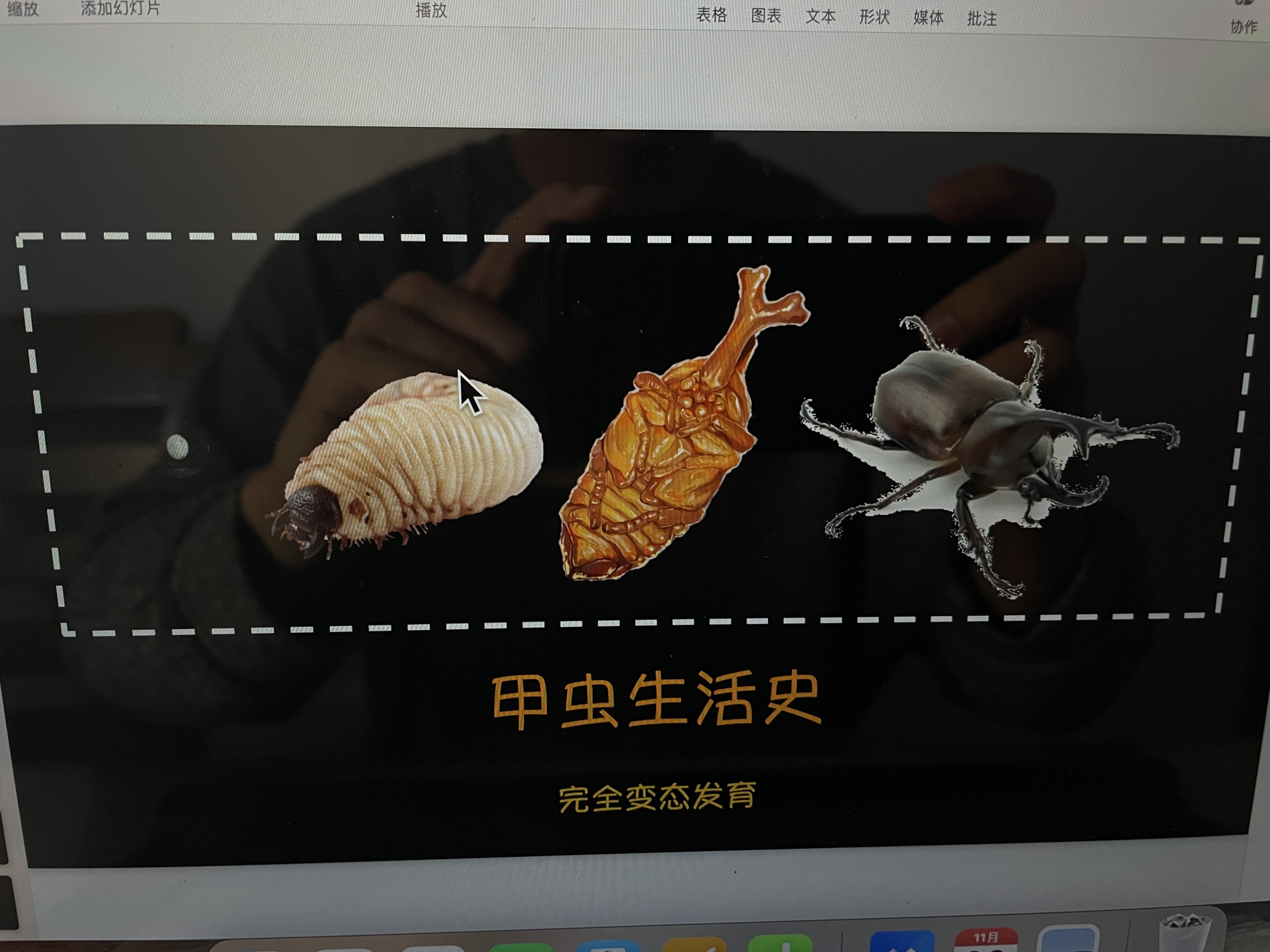 微信图片_20211122134245 微信图片_20211122134245