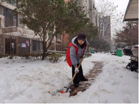 image image.png?v=1765113059948