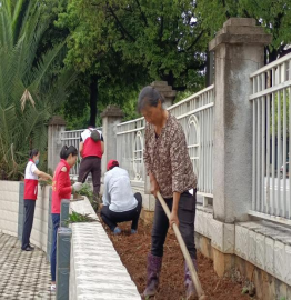 image image.png?v=1766072669591