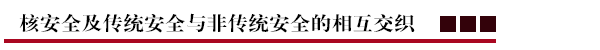 核安全及传统安全与非传统安全的相互交织.png
