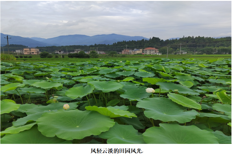 1732348921248 1732348921248.png