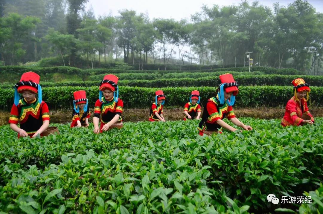 微信图片_20201211151107