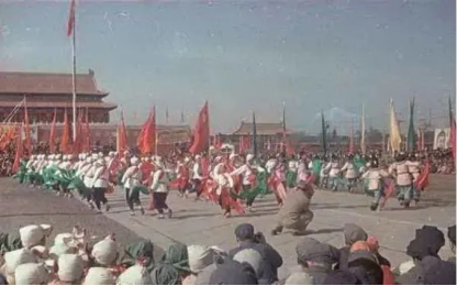 image image.png?v=1770186180249