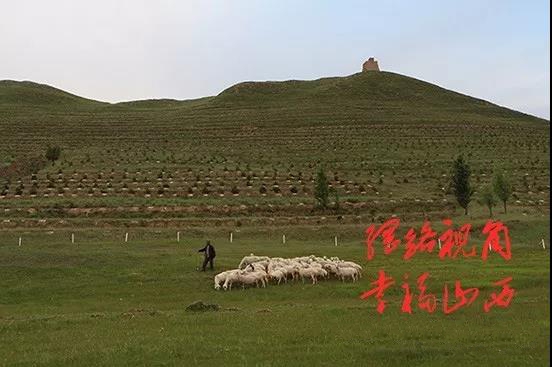 39《烽火台下牧羊人》梁兴国