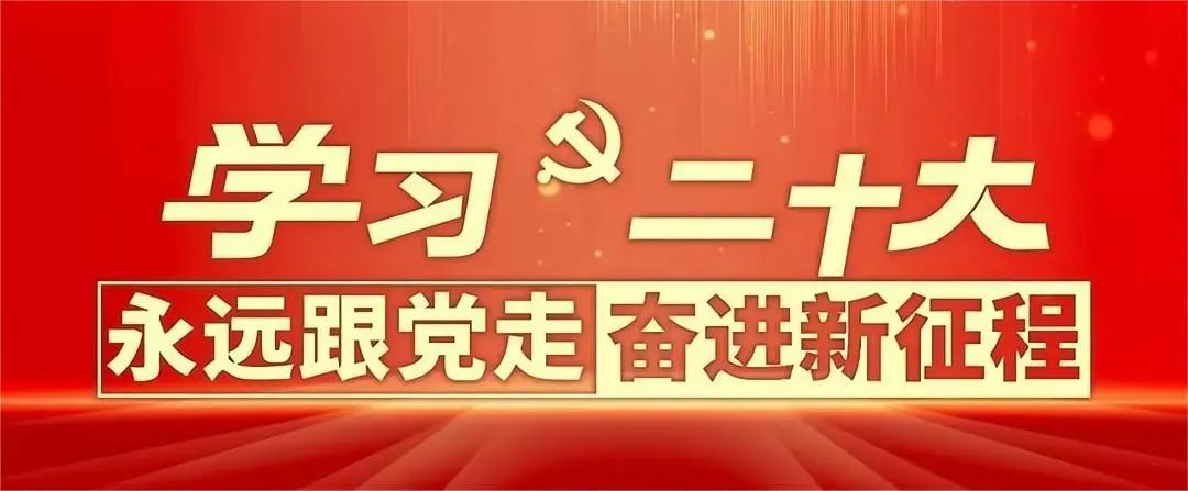 二十大 二十大.jpg?v=1765591670284
