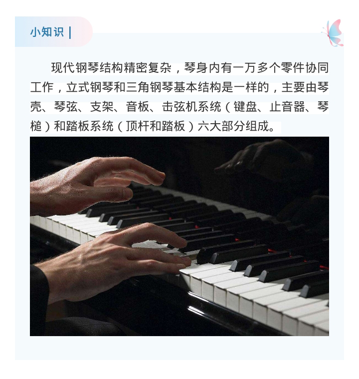 b2.jpg