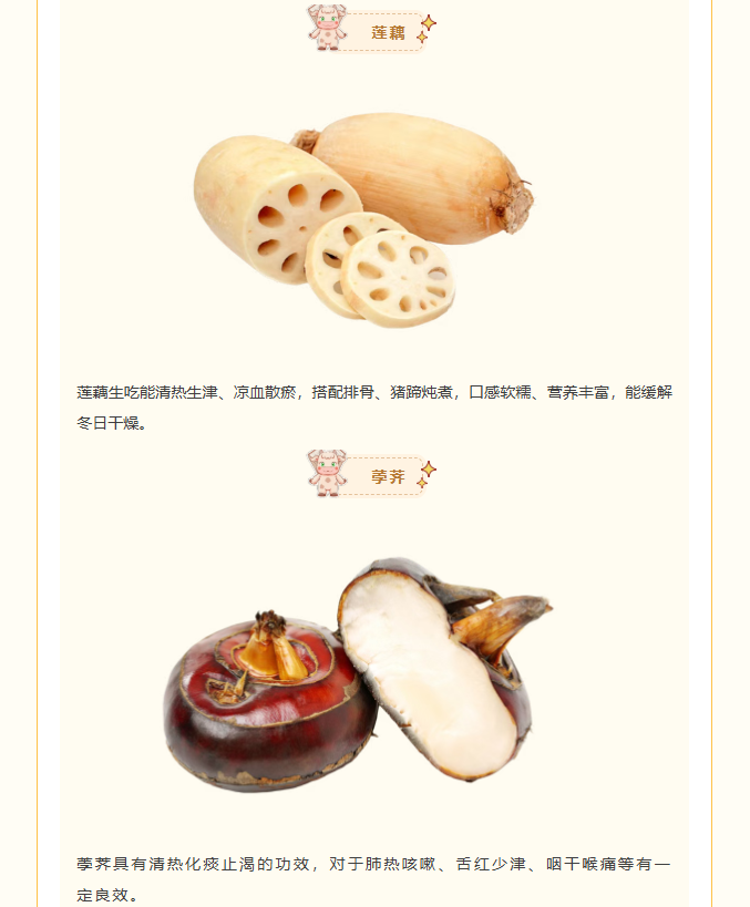 image.png?v=1770178027392