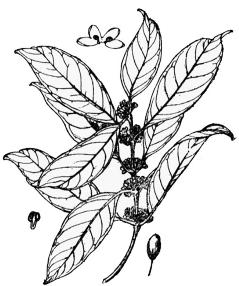 pagenumber_ebook=162,pagenumber_book=162