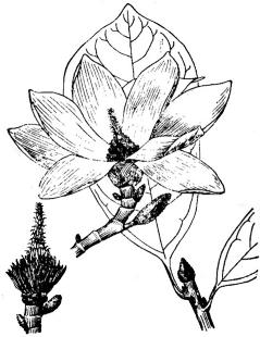 pagenumber_ebook=160,pagenumber_book=160