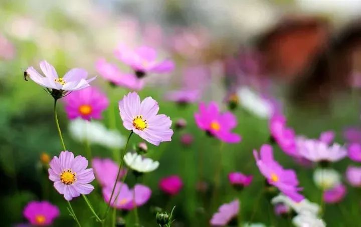 8778f32ce90843a296a0c859c47e82bd 8778f32ce90843a296a0c859c47e82bd.jpg