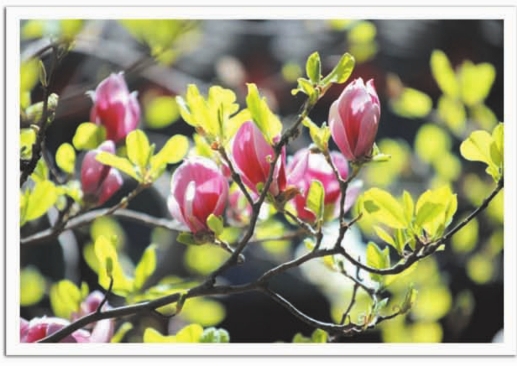 pagenumber_ebook=200,pagenumber_book=184