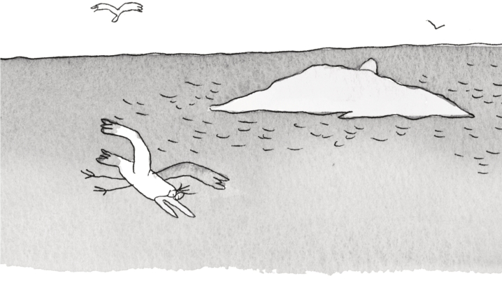 pagenumber_ebook=185,pagenumber_book=179