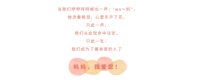 image.png?v=1779352497043