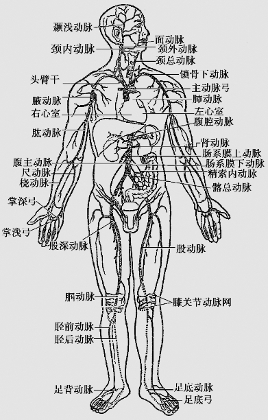 pagenumber_ebook=29,pagenumber_book=16