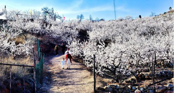 f8a44e26b6f374175322028fbc2e2605 f8a44e26b6f374175322028fbc2e2605png