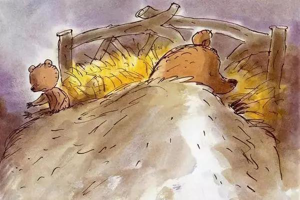 图片16 图片16.png?v=1772866541348