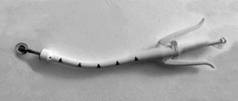 pagenumber_ebook=55,pagenumber_book=40