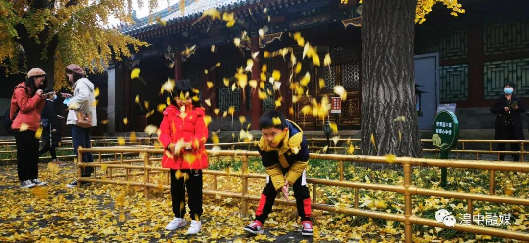 湟中006 湟中006.jpg