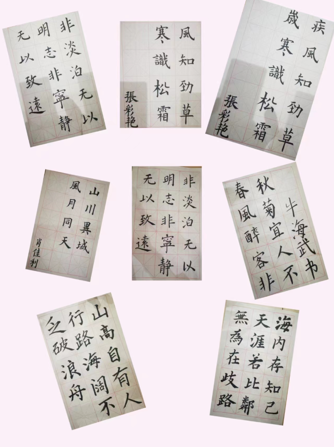 image image.png?v=1763574150131