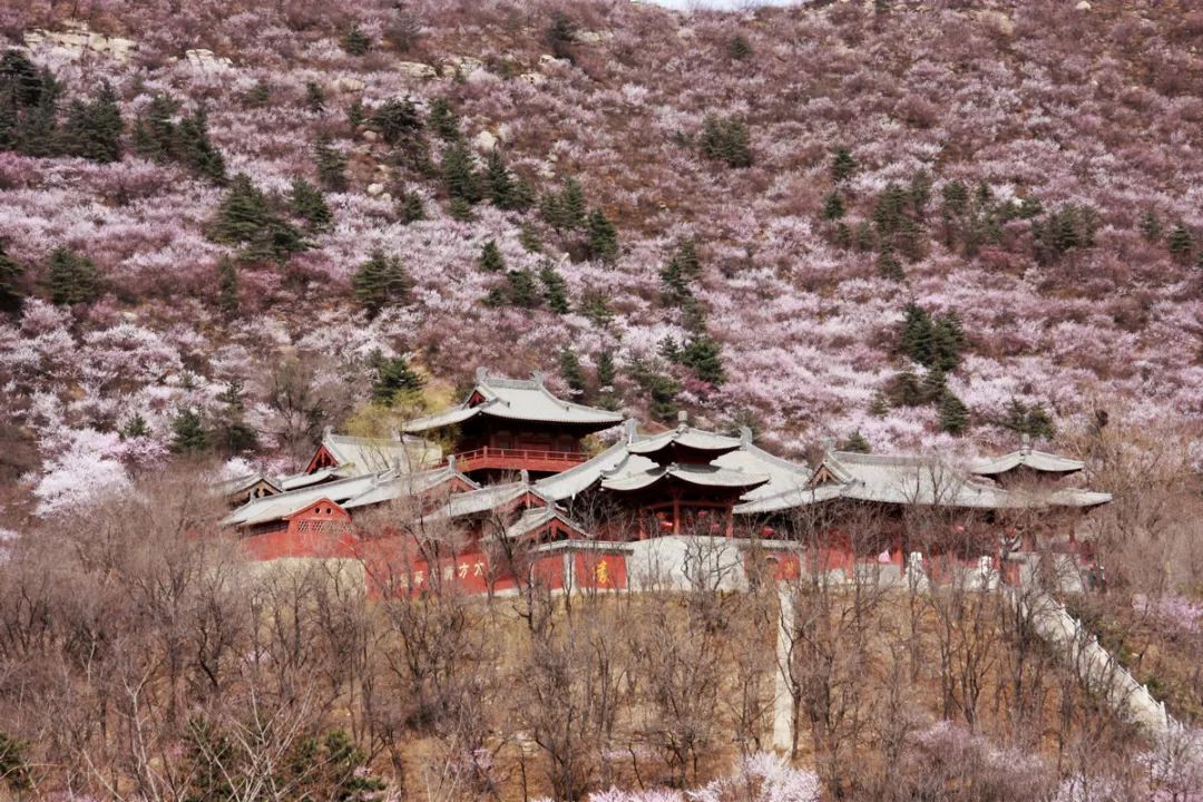 微信图片_20220804160941 - 副本