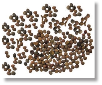 pagenumber_ebook=267,pagenumber_book=254