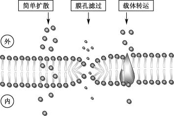 width=308,height=206,dpi=110