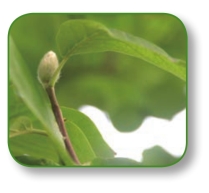 pagenumber_ebook=26,pagenumber_book=13