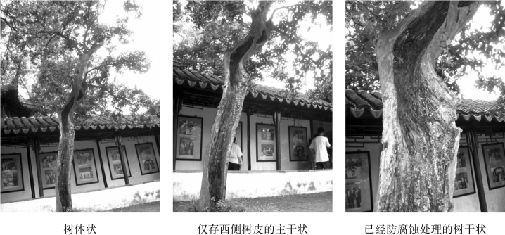 pagenumber_ebook=82,pagenumber_book=82