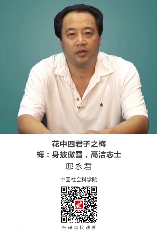 image image.png?v=1765597837245