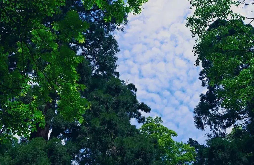 微信图片_20201224103752