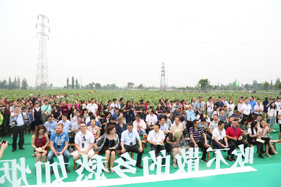 20170524151009_5n2tfje436 20170524151009_5n2tfje436.jpg?v=1763734826474