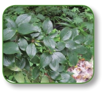 pagenumber_ebook=300,pagenumber_book=287