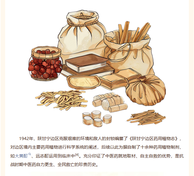 image.png?v=1789543804302