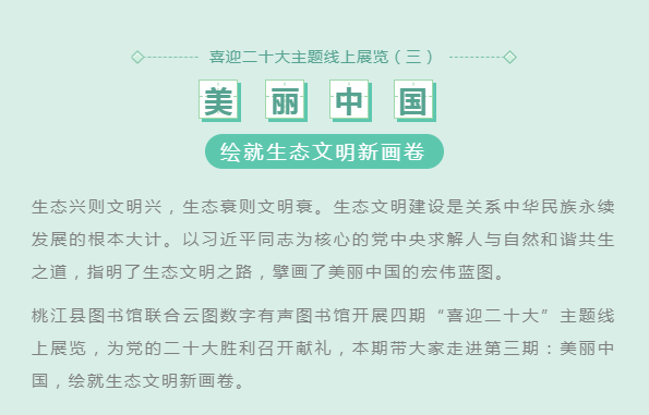 image.png?v=1754275592647