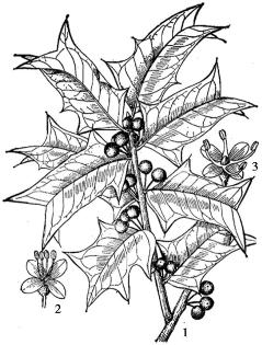 pagenumber_ebook=174,pagenumber_book=174