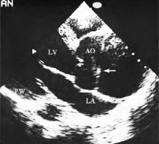 pagenumber_ebook=355,pagenumber_book=355