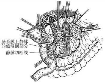 pagenumber_ebook=495,pagenumber_book=480