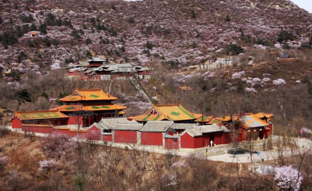 微信图片_20220804160939 - 副本