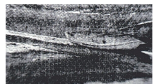 pagenumber_ebook=62,pagenumber_book=47