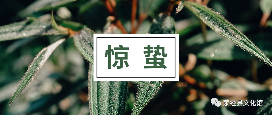 微信图片_20220314154635 微信图片_20220314154635.png