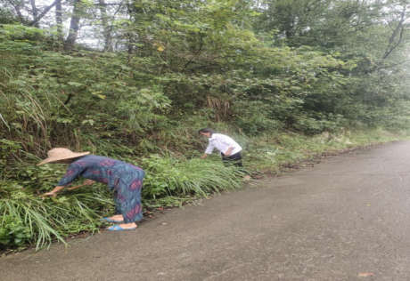 图片 13 图片 13.png