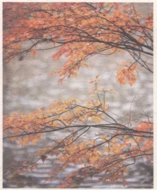 pagenumber_ebook=28,pagenumber_book=14