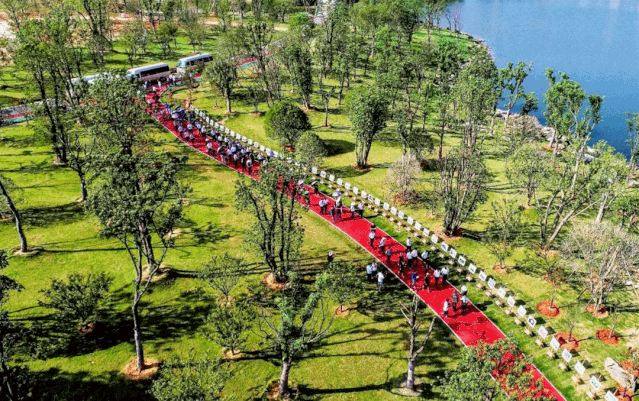 微信图片_20200711135053 微信图片_20200711135053.gif