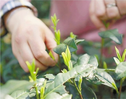 pagenumber_ebook=37,pagenumber_book=38