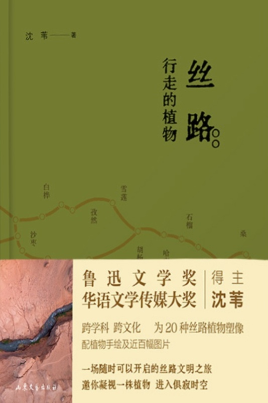 微信图片_20250627084210 微信图片_20250627084210.png?v=1764469167601