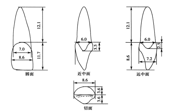 pagenumber_ebook=178,pagenumber_book=169