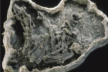 pagenumber_ebook=85,pagenumber_book=84